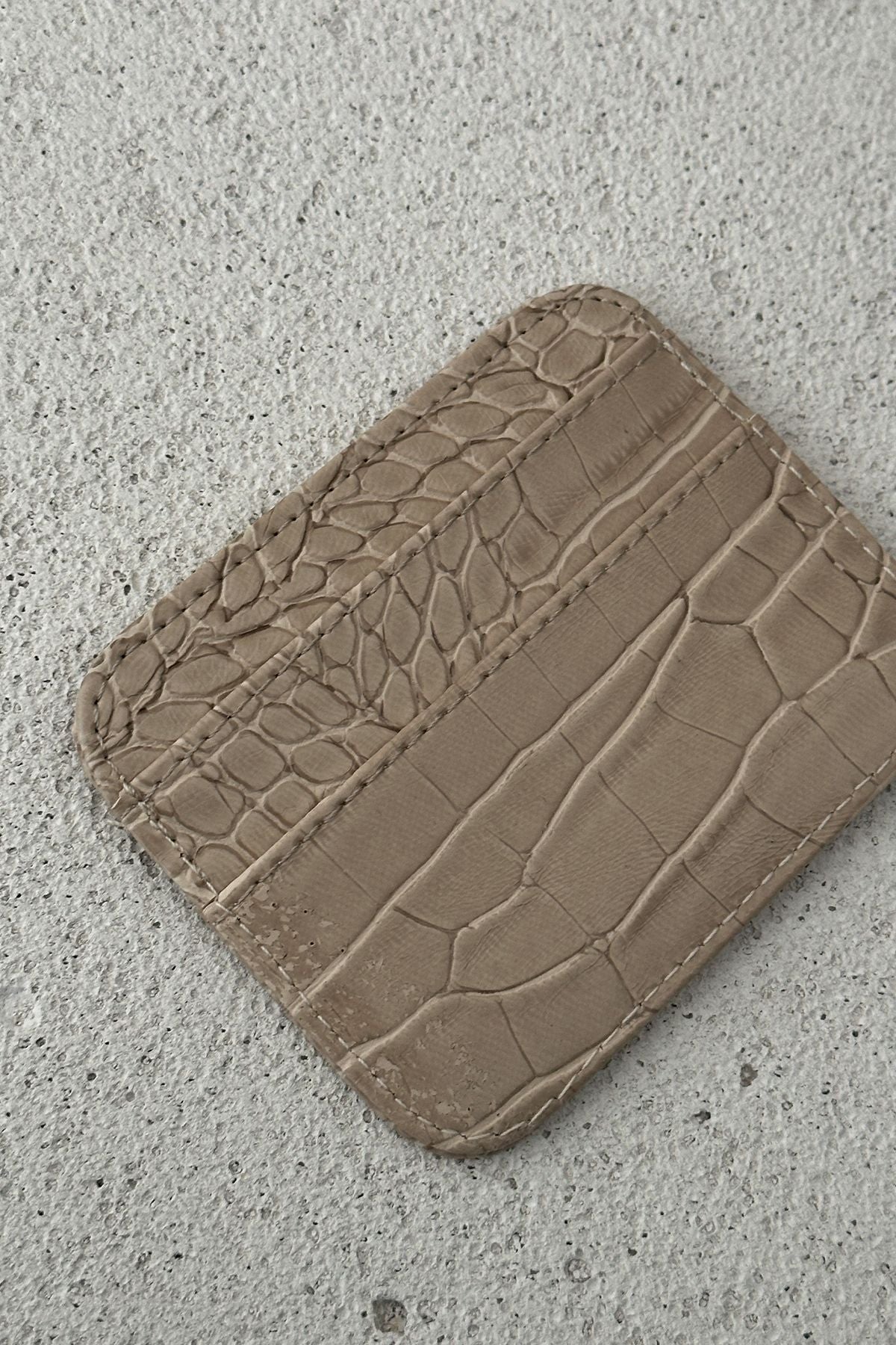 Krokodil Kartlık Taş - Fatma Atasoy