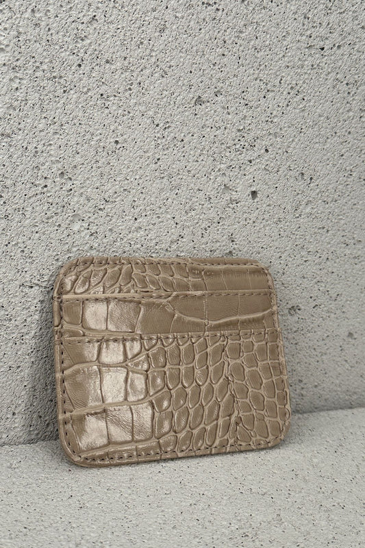 Krokodil Kartlık Taş - Fatma Atasoy